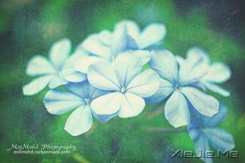 �����ھ;���ʧ��������δ����ôԶ�����ô�� (4)