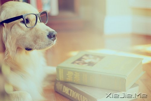 晚安心语:浅浅笑,轻轻爱 (6)