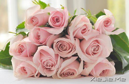 不要轰轰烈烈,只求安安心心 (9)