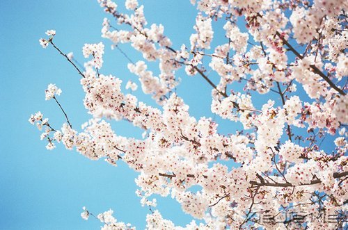 平淡与安静,亦是心灵的另一种力量 (3)