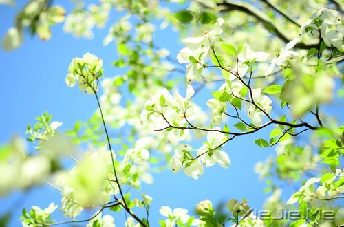 ����������������� (4)