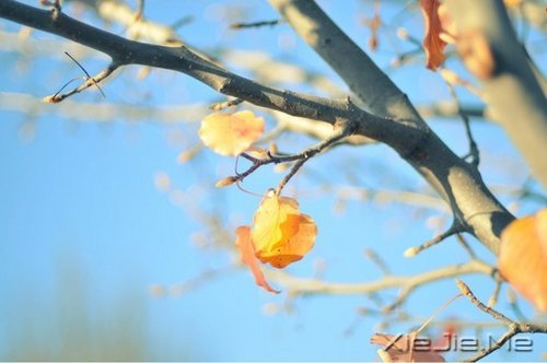 成熟,不是看破,而是看淡 (5)