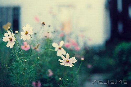 只要你在走,总会看到进步 (2)