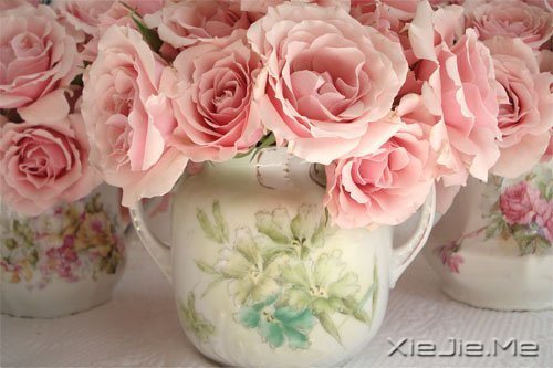 只有知足感恩,才能笑对人生 (7)