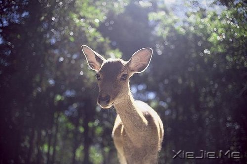 有些事,笑笑就能过去 (6)