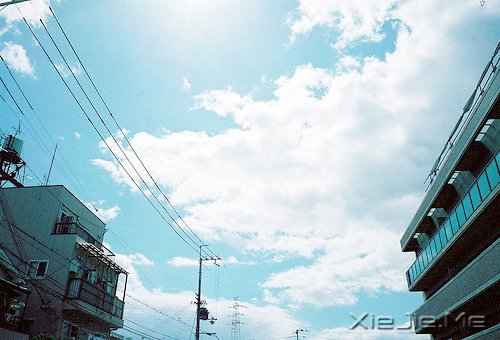 越努力,越幸运 (9)