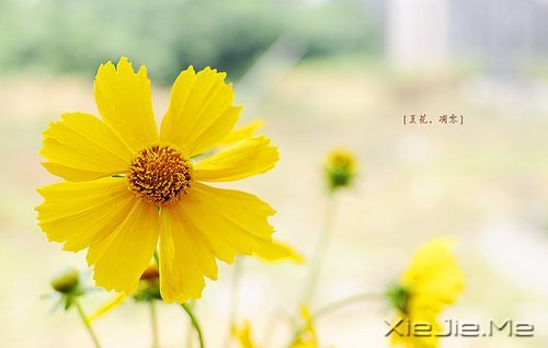 风雨人生,给自己一个微笑 (1)