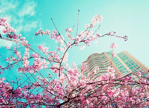 只要内心不乱,外界就很难改变你什么 (6)