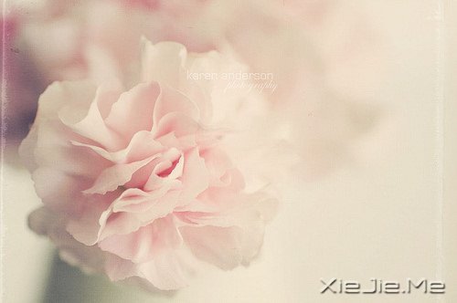 生命如途,走过才知深浅 (2)