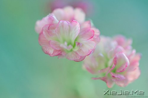 生命如途,走过才知深浅 (7)