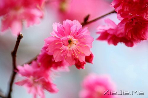 我不完美,但我是完整的自己 (3)