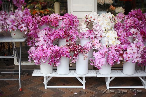 很多道理我们都是心知道,却做不到 (2)