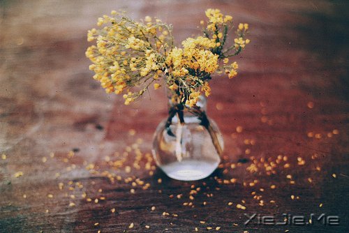 �����������Ľ�ӡ������ӡ������Ţ��·�� (8)