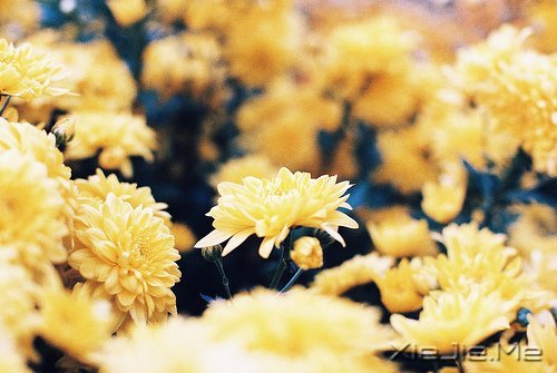 ĬȻ�మ���ž�ϲ�� (9)