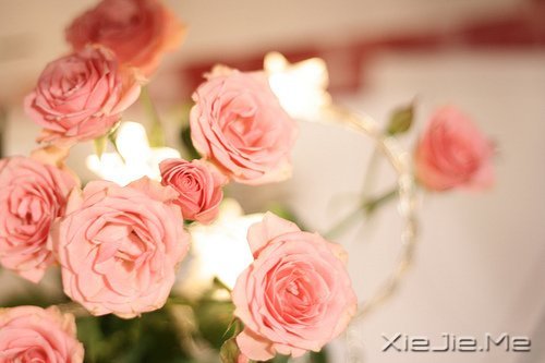 �Ҹ�Ӧ���������ɣ����������ö� (8)