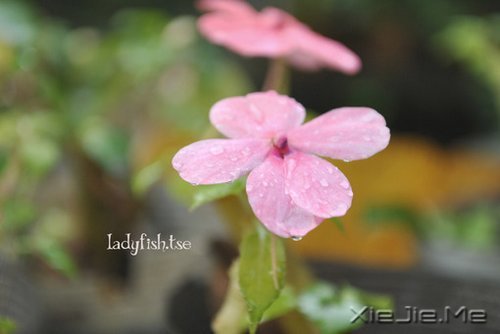 一个人怕孤独,两个人怕辜负 (5)