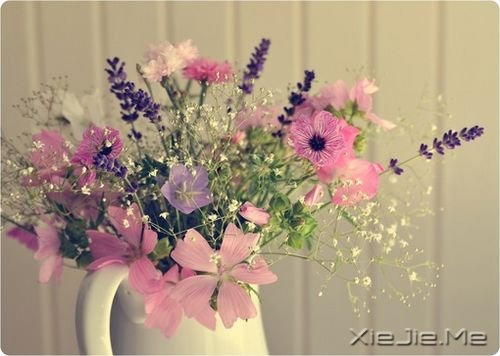 һ·�ж�����������ϧ (2)