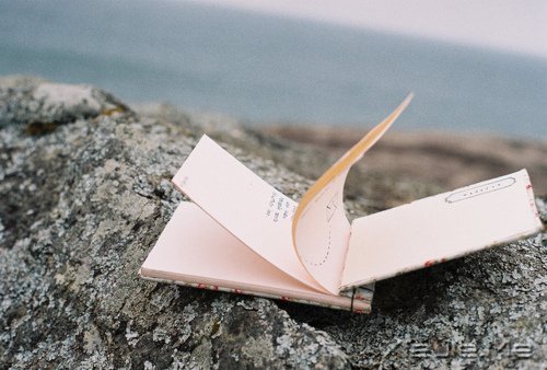 ���������;�У������Լ� (6)