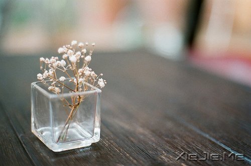 晚安心语:只有想不通的人,没有走不通的路 (2)