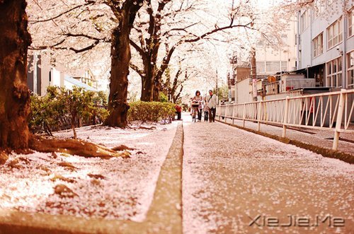 �����������һ������������Ī�������� (9)