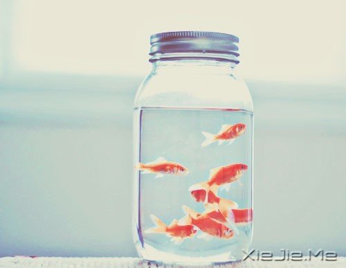 晚安心语:以一滴水的平静,面对波澜不惊的人生 (3)