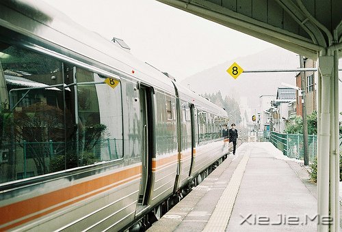 晚安心语:不要因为难过,就忘了散发芳香 (4)