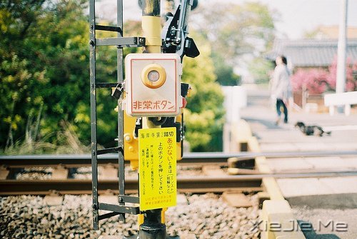 �������������ν�ĸ�������������һ·���� (4)