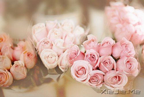 �簲�����Ϊ����Ϊ���ˣ����˲����˵��� (7)