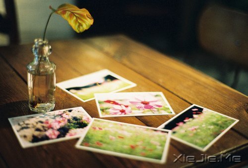 晚安心语:远处的是风景,近处的才是人生 (11)