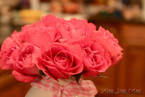 早安心语:不往前走,你将永远停留 (11)