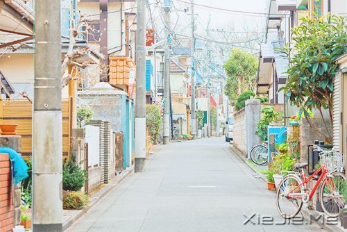 晚安心语:时间不仅让你看透别人,也让你认清自己 (11)