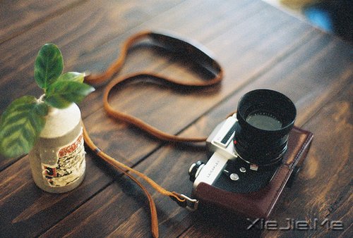 晚安心语:成熟的一面是给外人看的,幼稚的一面是给爱人看的 (2)