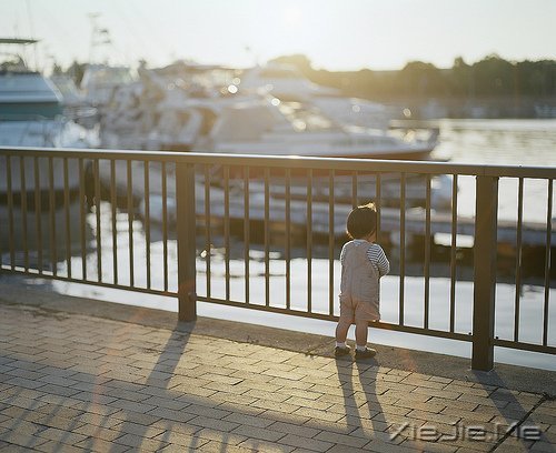 晚安心语:与其诅咒黑暗,不如点亮灯火 (4)