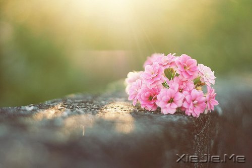 �簲������������ڱ��˵Ĺ���������Լ������� (5)