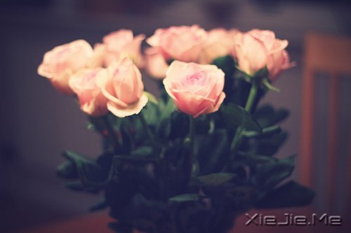 晚安心语:把生活转个身,重新开始 (3)