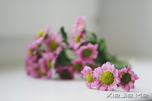 早安心语:你想要的,岁月都会给你 (10)