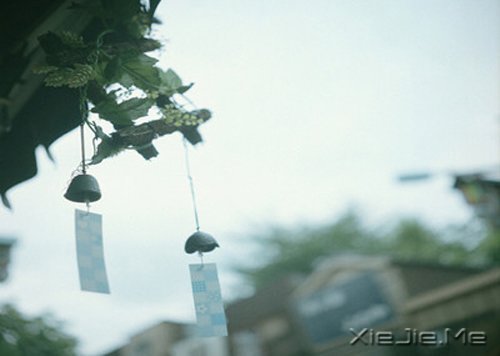 当眼泪流尽的时候,留下来的应该是坚强 (4)