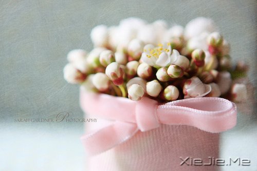 1 (3) 我正在努力变成自己喜欢的那个自己 (3)