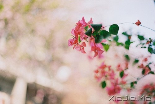 若不是终点,请微笑一直向前 (3)