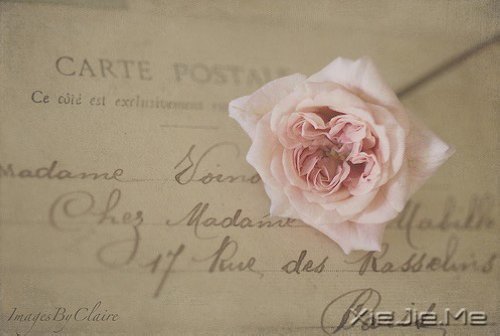 适当的放弃,是人生优雅的转身 (10)