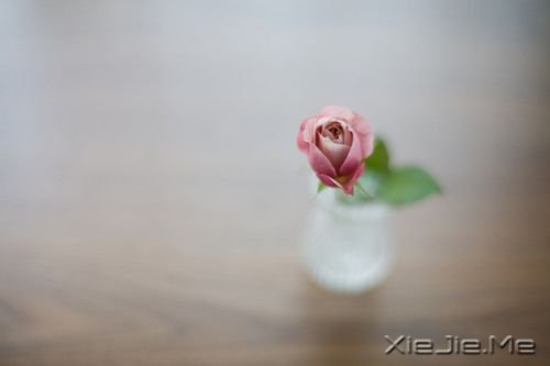 �簲�����Ҫ����ʵ�֣��ȴ��������� (4)