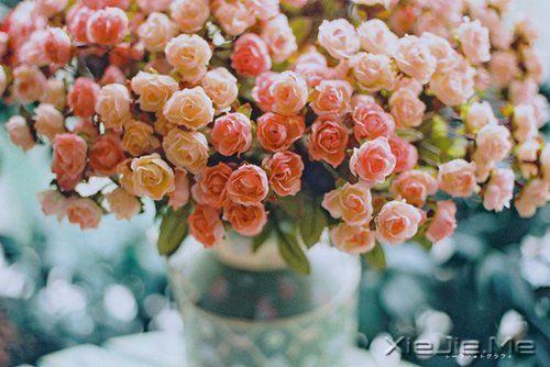 早安心语:淡然一切,往事如烟 (7)