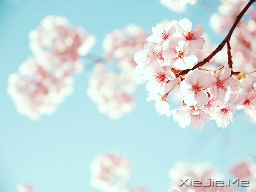 晚安心语:微笑着去等待,做最好的自己 (5)