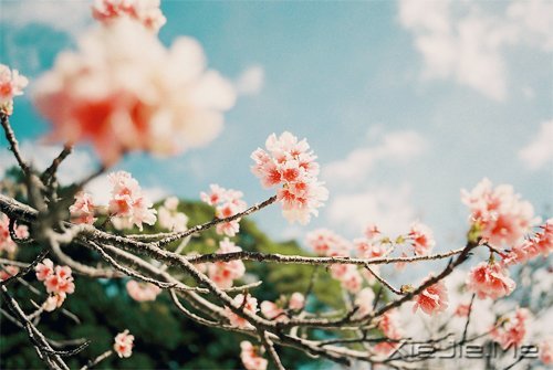 做一个微笑挂在嘴边,快乐放在心上的人 (1)