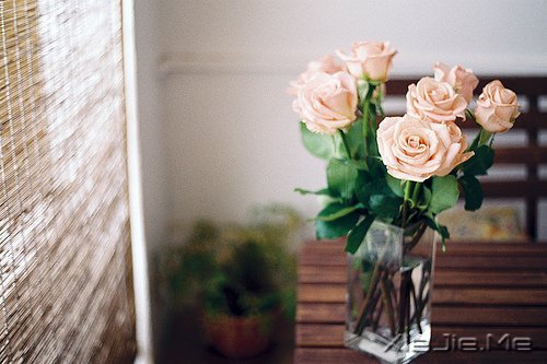 晚安心语:美不过回忆,伤不过别离 (1)