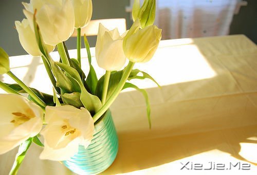 ���������Ļ��������ִܵ����ĵķ��� (5)