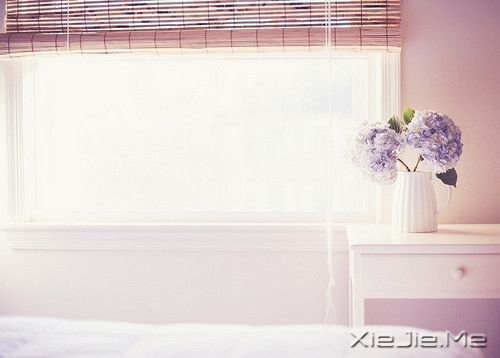 早安心语:再不疯狂,我们就老了 (3)