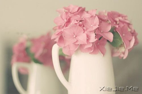 早安心语:你看事情太明白,往往就失了做事的勇气 (6)