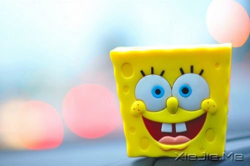 晚安心语:人不怕走在黑夜里,就怕心中没有阳光 (9)