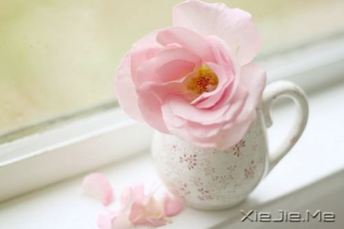 ��������ഺ������ʹ��ȴ�����޷��� (1)